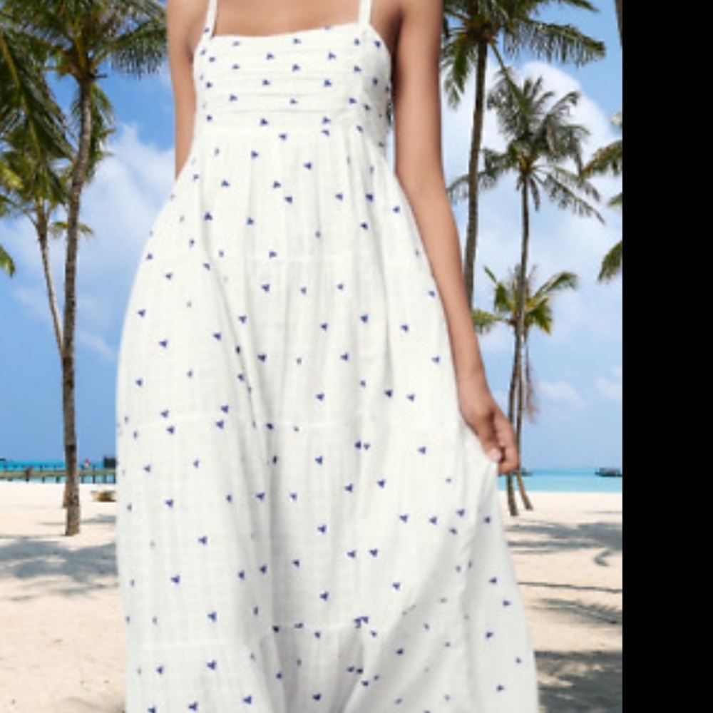 Zara Embroidered Dress